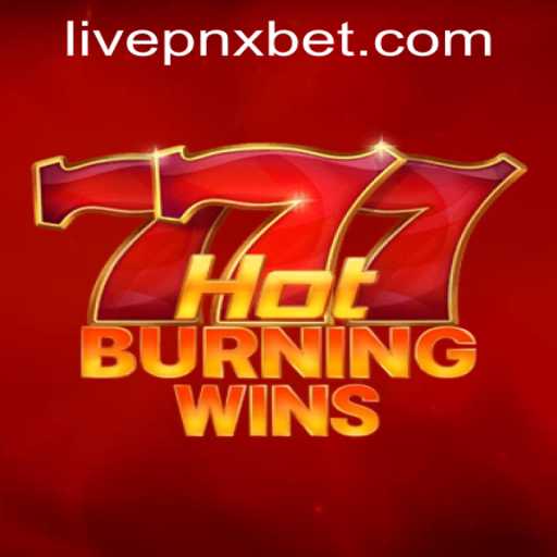 Exploring HotBurningWins: A Thrilling Adventure in the Digital Casino Sphere