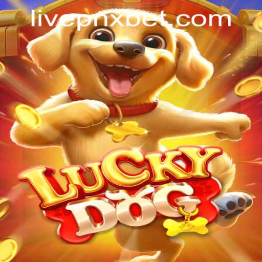 Exploring the Excitement of LuckyDog and pnxbet live casino